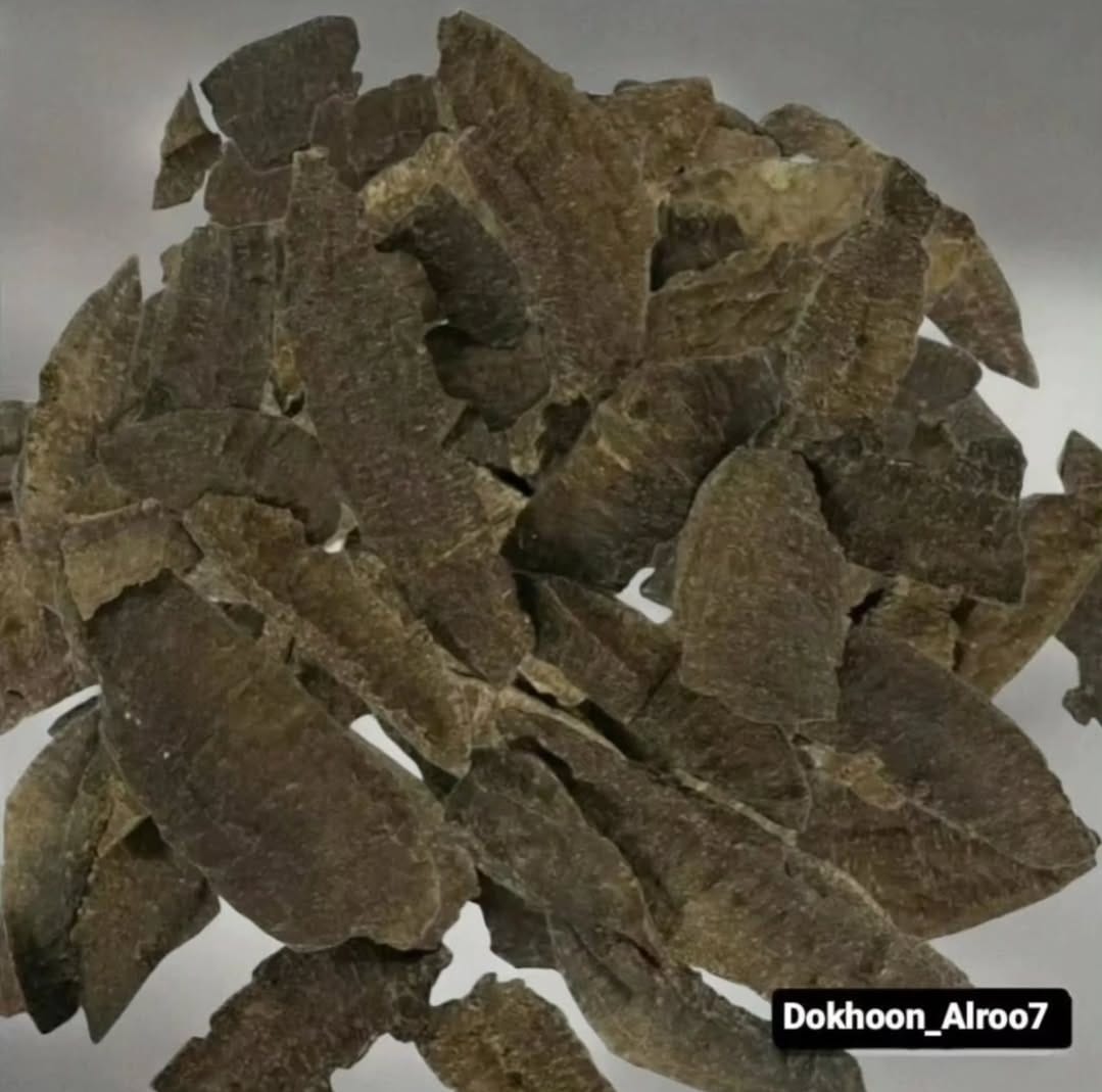 جار تربل سوبر